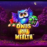 DedekCasino – hra Owls of Wealth